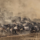 Kenya Vacation Package | Gate 1 Travel | Promo code TZWESK
Masai Mara National Reserve, Kenya | Photo by Shripal Daphtary, Unsplash